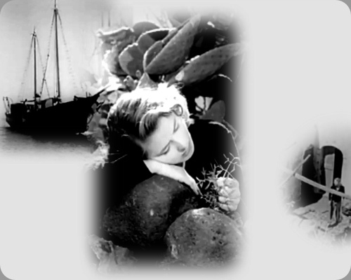 kinovida_pre_03