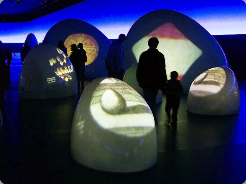 EXPO 01